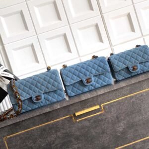 Classic Canvas CF Flap Bag with Resin Chain Strap & Vintage Gold Hardware