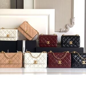 Premium 24C Classic Flap Bag: Grained Calfskin with Adjustable Chain & CC Logo